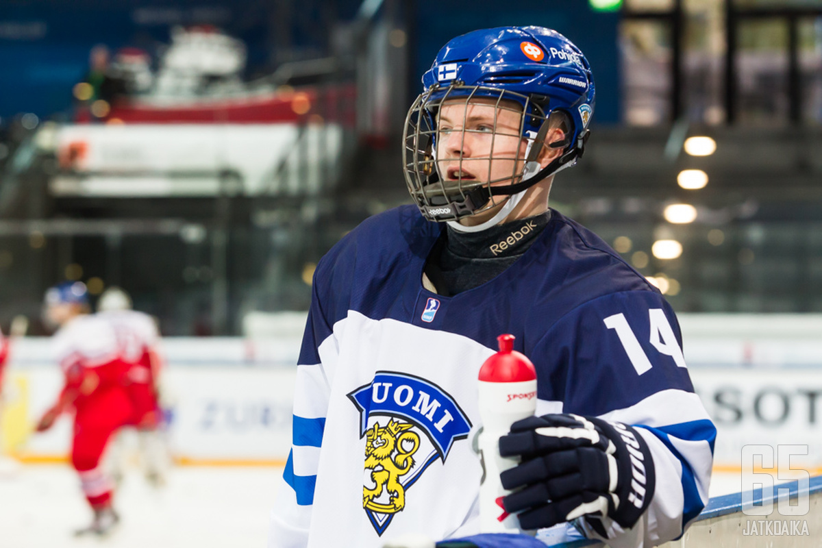 Leijonapaita on tuttu Joonas Niemelälle.