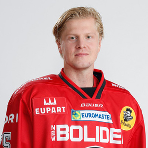 Teemu Lepaus