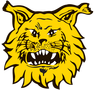ilves.png